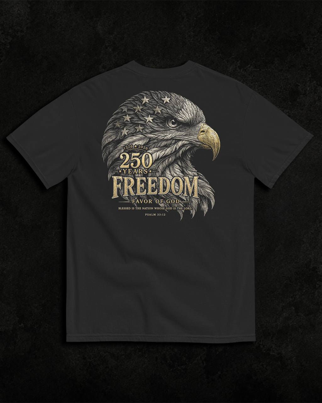 Freedom black heavyweight T-shirt with patriotic eagle graphic - product-only view