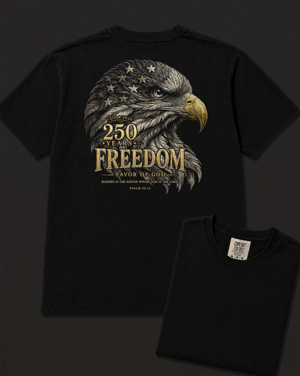 Freedom black heavyweight T-shirt with patriotic eagle graphic - lifestyle view 5