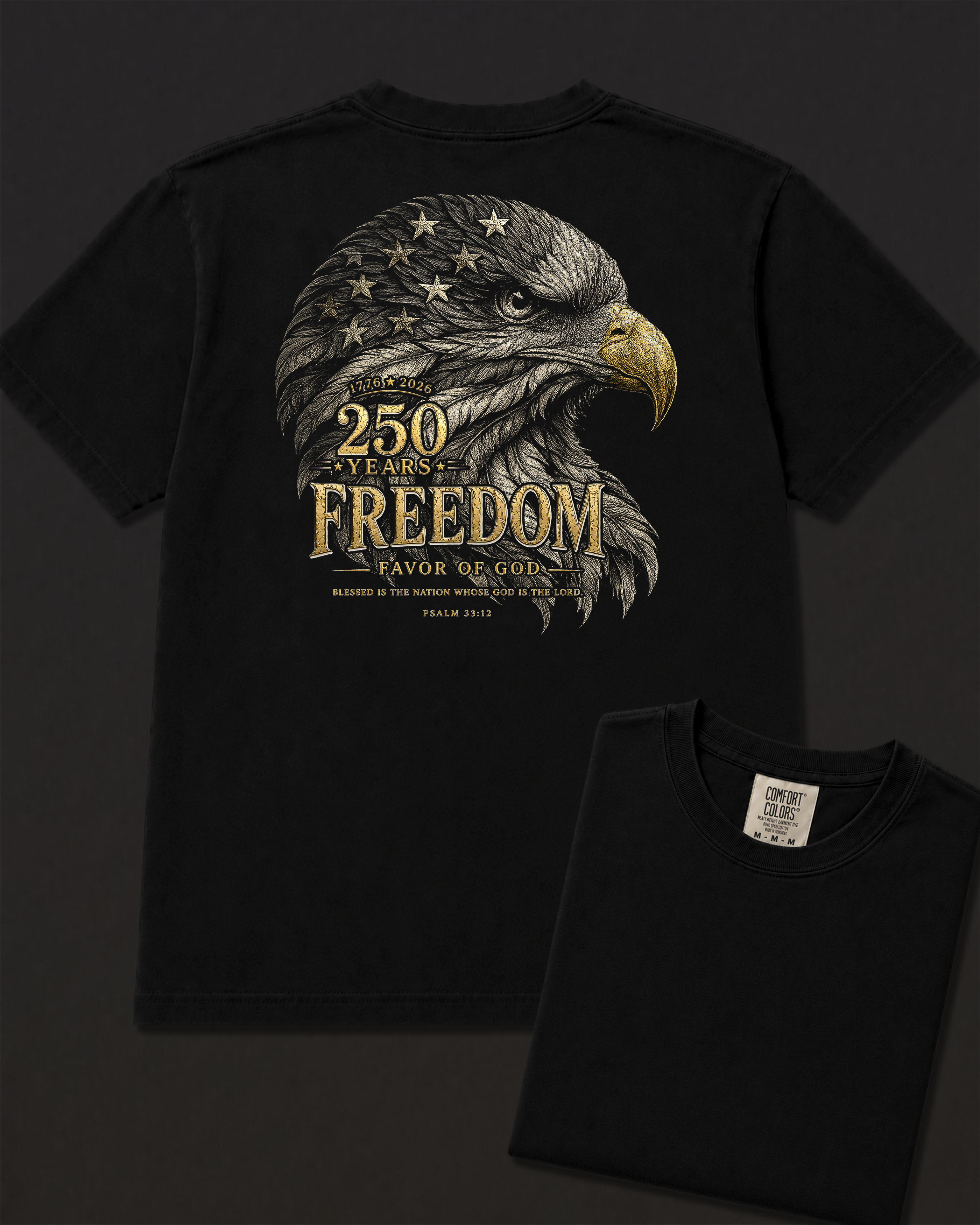 Freedom black heavyweight T-shirt with patriotic eagle graphic - lifestyle view 5