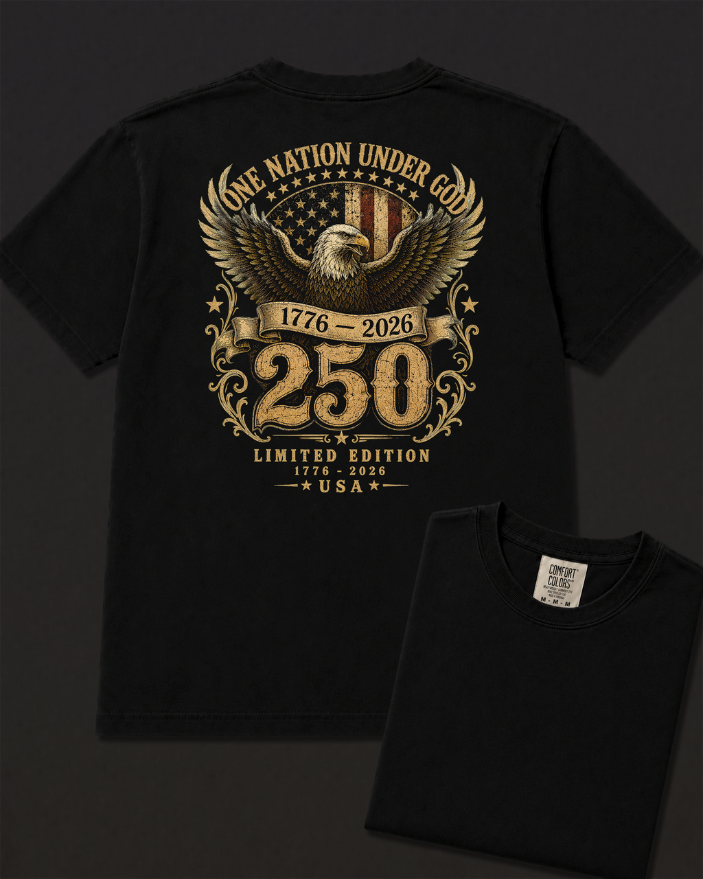 One Nation black heavyweight T-shirt with patriotic eagle design - lifestyle view 5