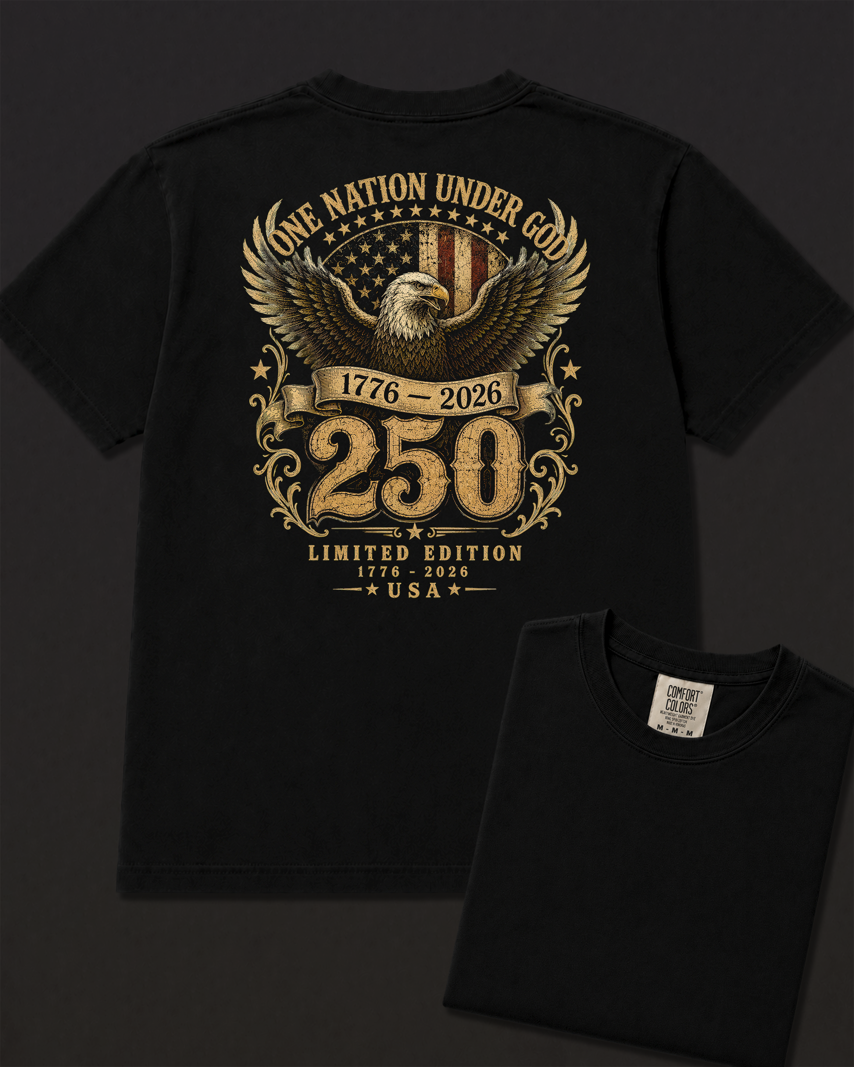 One Nation black heavyweight T-shirt with patriotic eagle design - lifestyle view 5